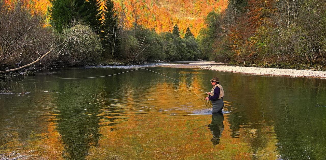 Apartmaji Alpski Cvet - Hisa Gorenc Bohinj Eksteriør billede
