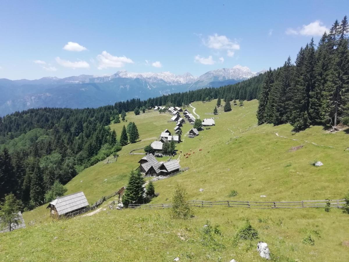 Apartmaji Alpski Cvet - Hisa Gorenc Bohinj Eksteriør billede